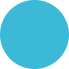 dot icon